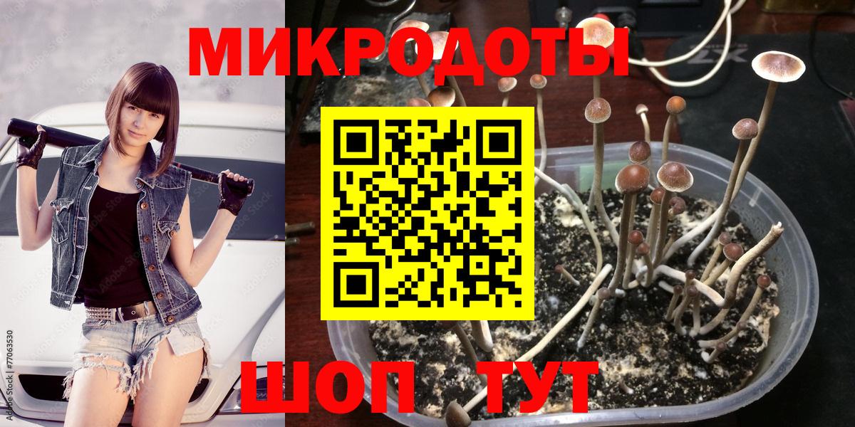 Псилоцибиновые грибы прущие грибы  Вход с VPN  Лыткарино  Псилоцибиновые грибы Psilocybine cubensis 