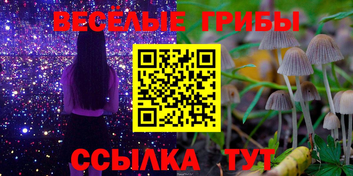 Псилоцибиновые грибы мицелий Лыткарино