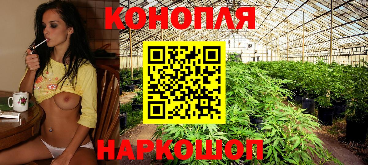 Канабис ГИДРОПОН Лыткарино